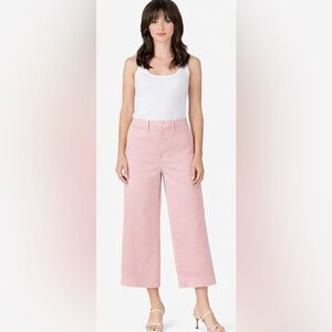 Madewell‎ Pink Wide Leg Soft Girl Crop Pants High Rise Size 28 Blush Cotton